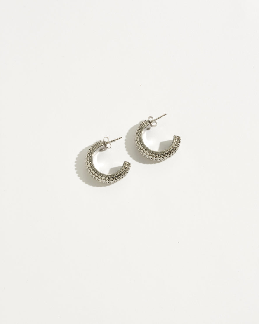 Sylwen Earrings Silver
