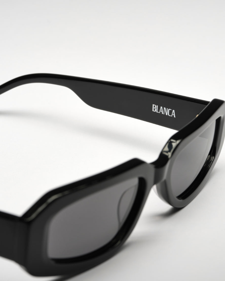Roux Sunglasses Black