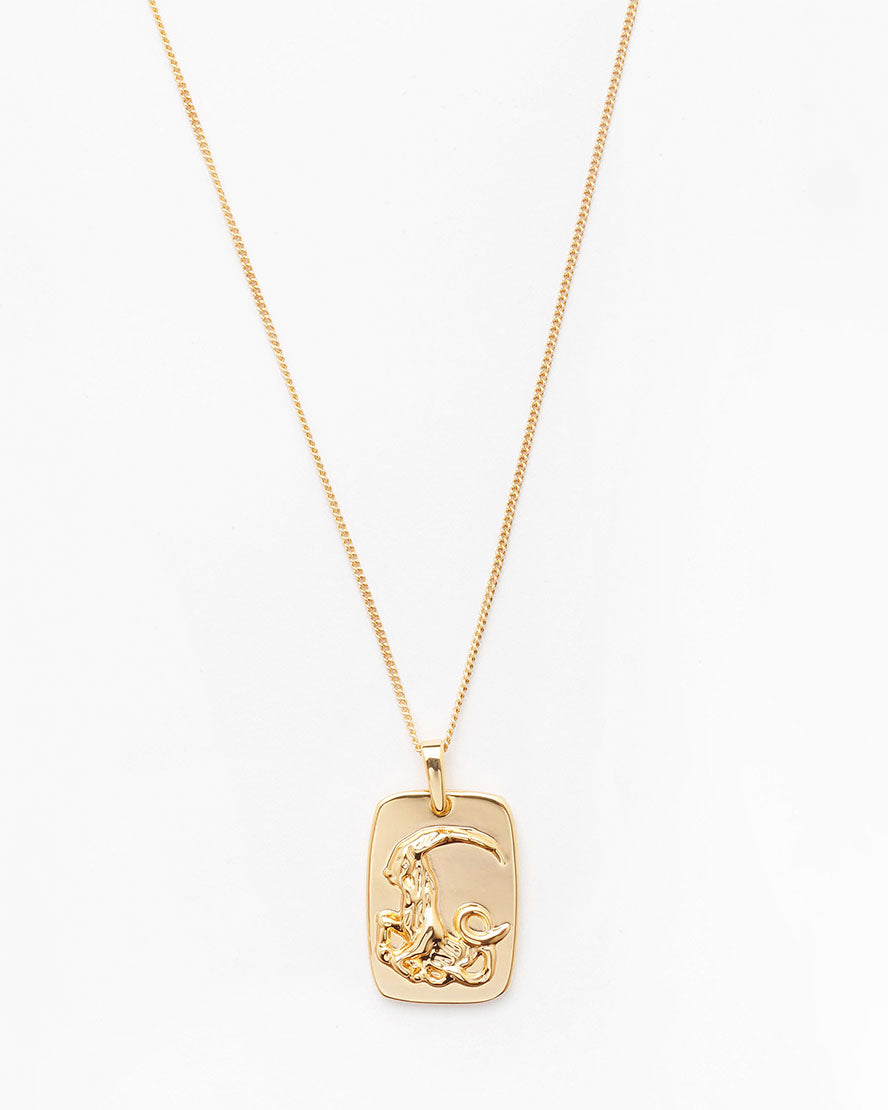 Zodiac Necklace Capricorn