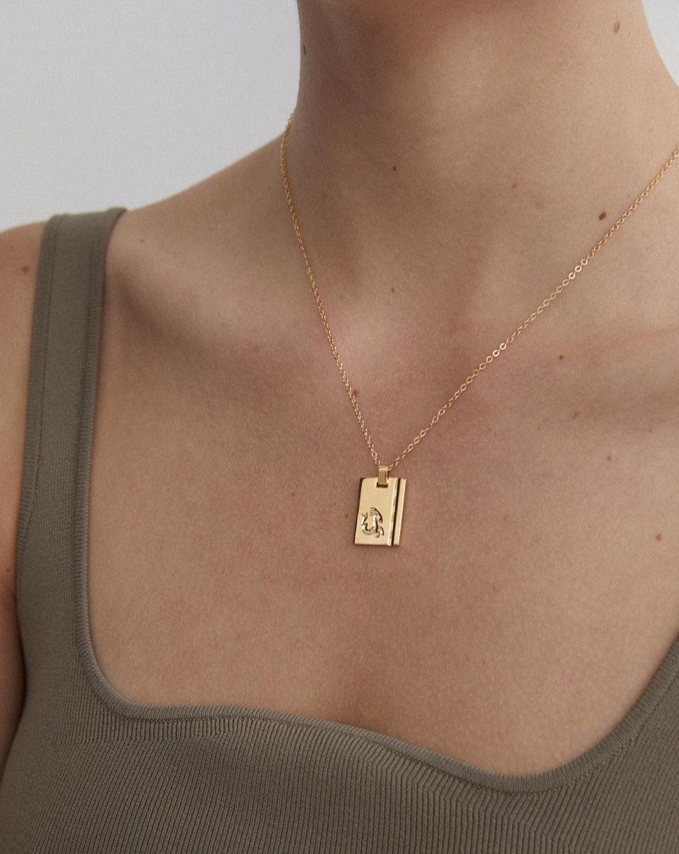 Gold Star Sign Necklace Capricorn - Reliquia Jewellery