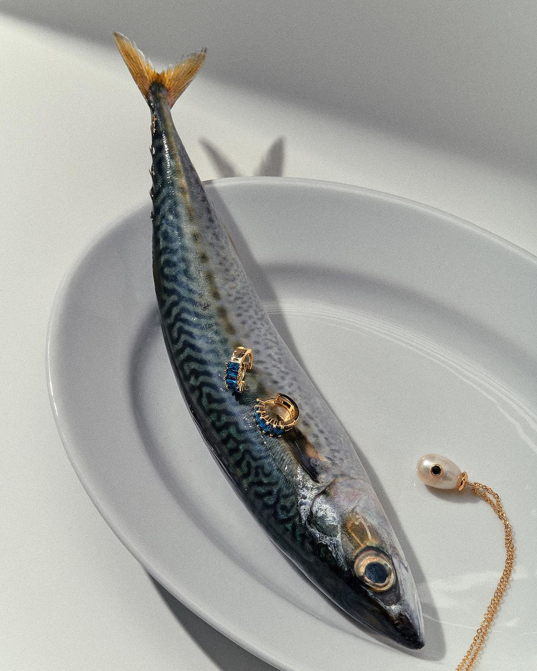 Libra Season: The Month Ahead