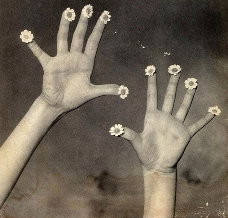 robert doisneau 1955 flower hands photography