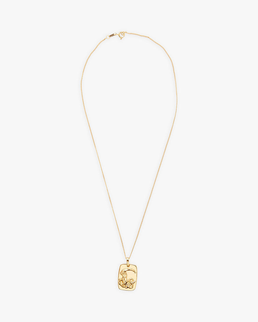 Zodiac Necklace