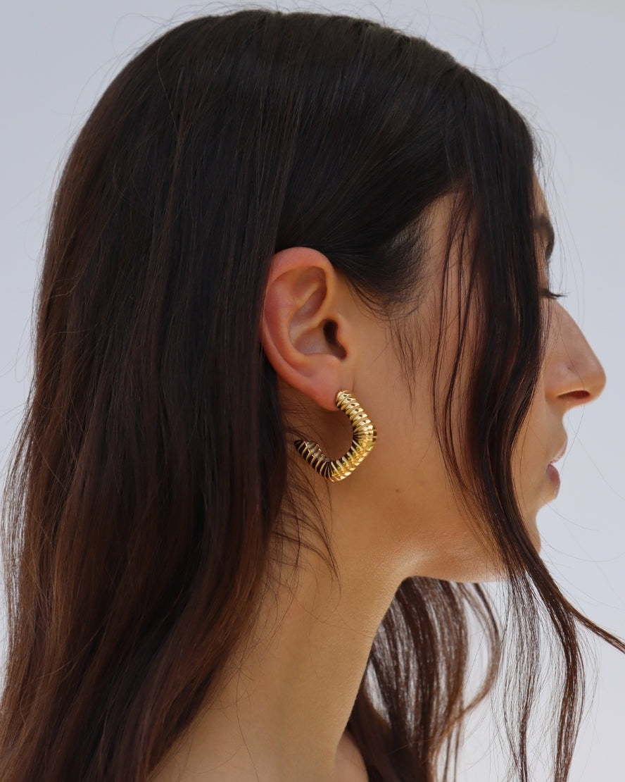 Gregory Earrings in Gold