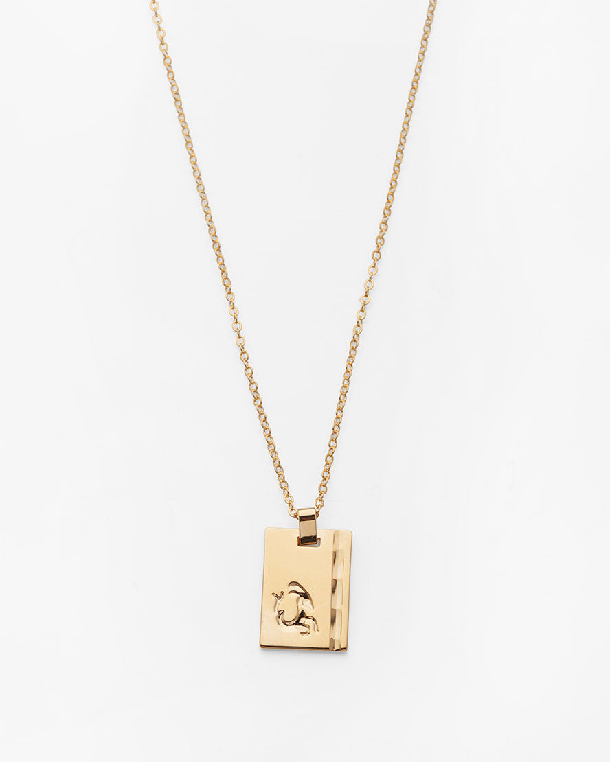 Gold Star Sign Necklace Capricorn