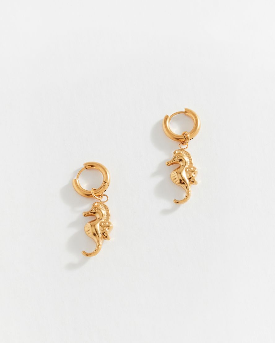 Seahorse Hoops